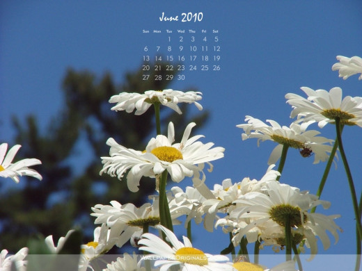 402841 (a): :1024x768